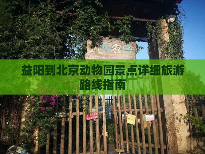 益阳到北京动物园景点详细旅游路线指南