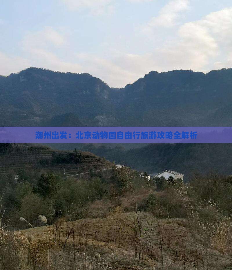 潮州出发：北京动物园自由行旅游攻略全解析