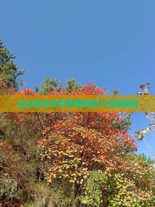 白山到北京中国博物馆六日游报价