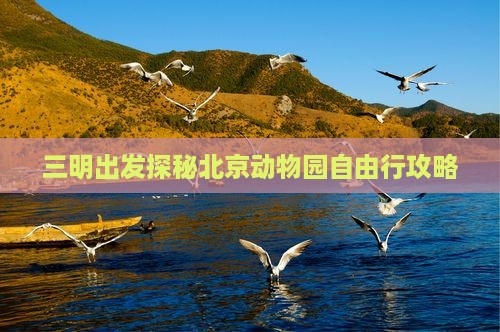 三明出发探秘北京动物园自由行攻略