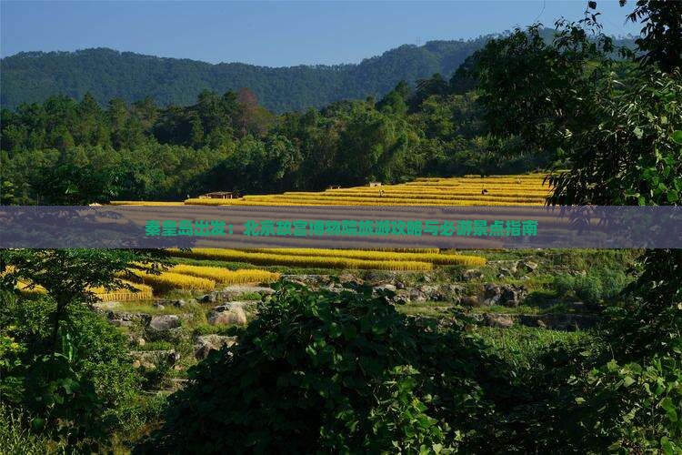 秦皇岛出发：北京故宫博物院旅游攻略与必游景点指南