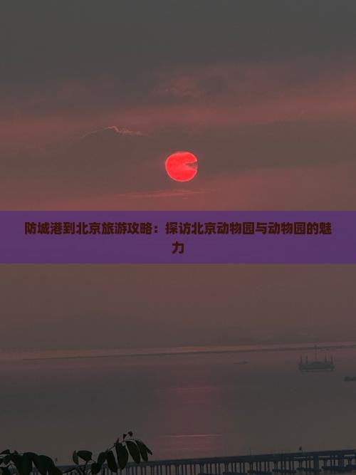 防城港到北京旅游攻略：探访北京动物园与动物园的魅力