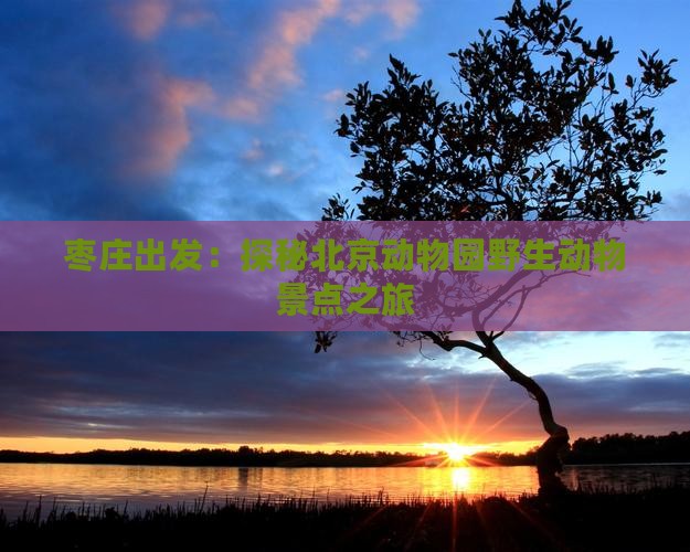 枣庄出发：探秘北京动物园野生动物景点之旅