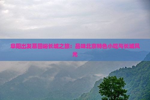 阜阳出发慕田峪长城之旅：品味北京特色小吃与长城风光
