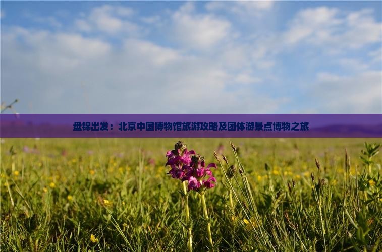 盘锦出发：北京中国博物馆旅游攻略及团体游景点博物之旅