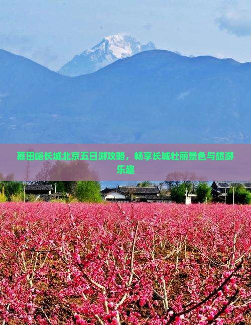 慕田峪长城北京五日游攻略，畅享长城壮丽景色与旅游乐趣