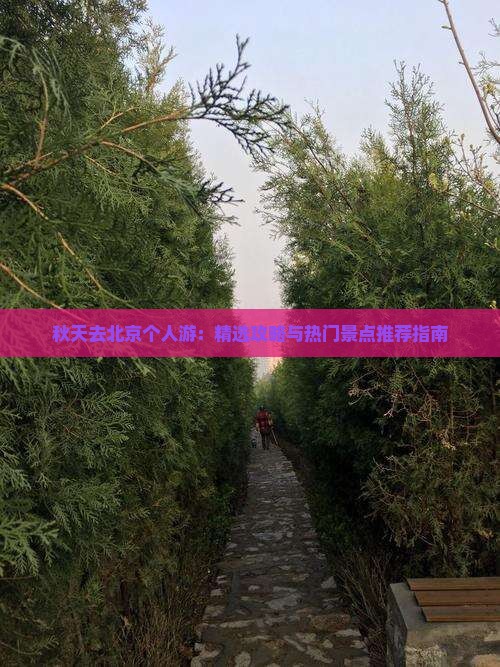 秋天去北京个人游：精选攻略与热门景点推荐指南