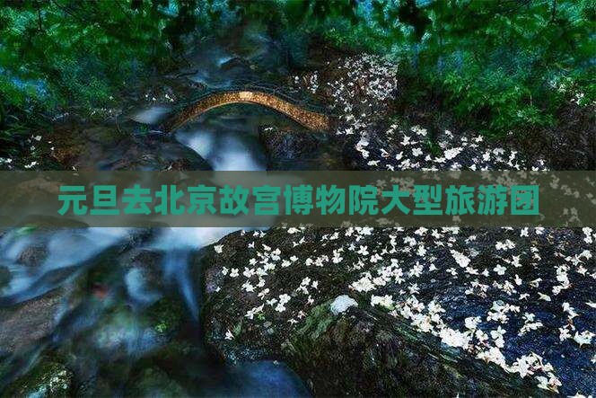 元旦去北京故宫博物院大型旅游团