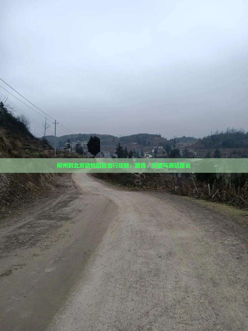 柳州到北京动物园自由行攻略：路线、交通与游玩建议
