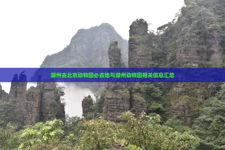 滁州去北京动物园必去地与滁州动物园相关信息汇总