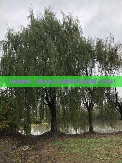 深度游攻略：绵阳出发至北京圆明园遗址公园完整指南