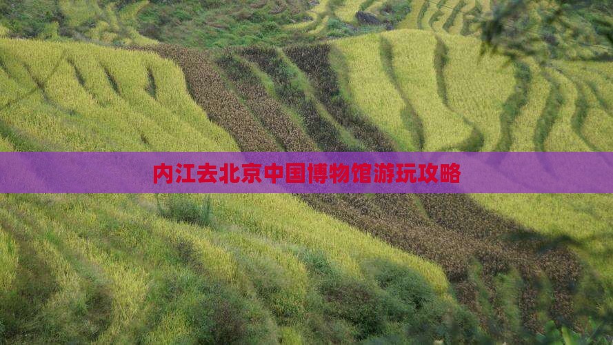 内江去北京中国博物馆游玩攻略