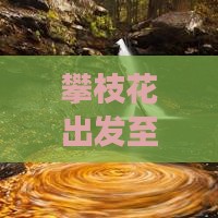 攀枝花出发至北京五日游含恭王府行程推荐
