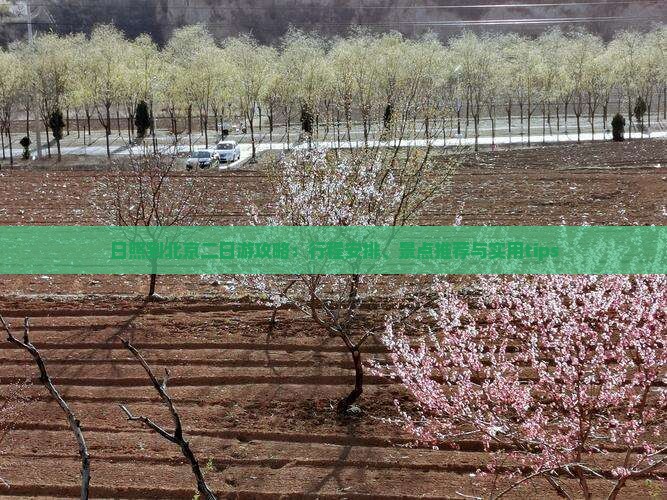 日照到北京二日游攻略：行程安排、景点推荐与实用tips