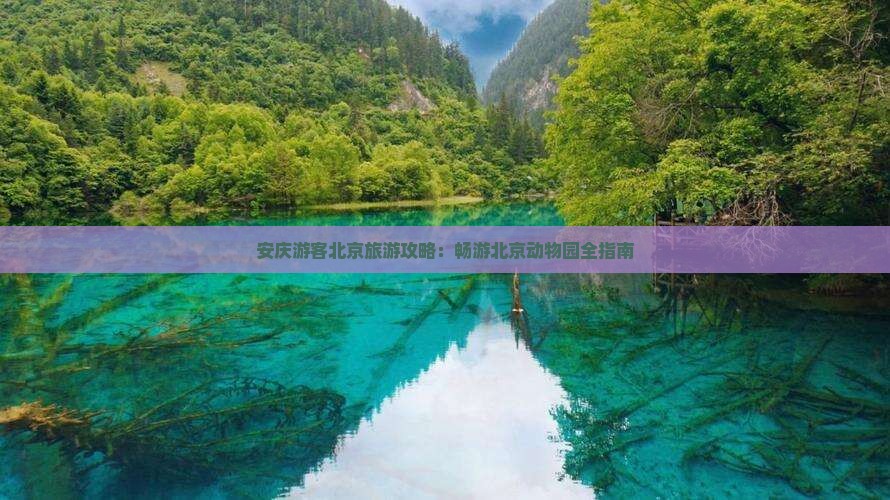 安庆游客北京旅游攻略：畅游北京动物园全指南