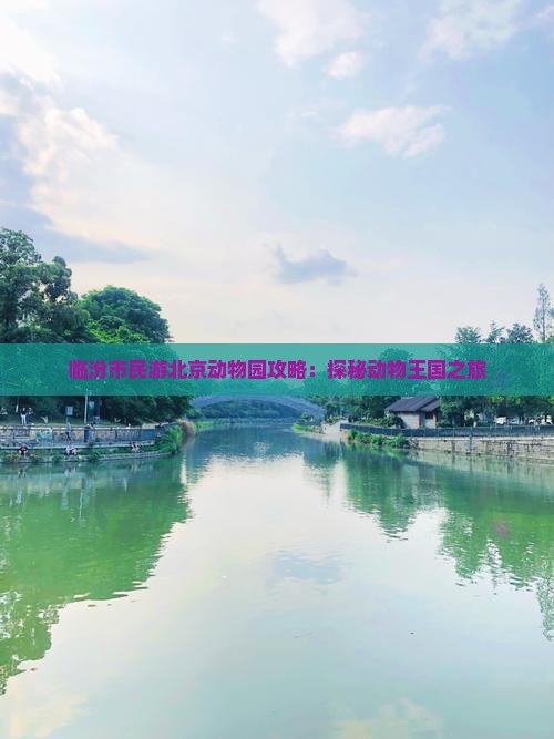 临汾市民游北京动物园攻略：探秘动物王国之旅