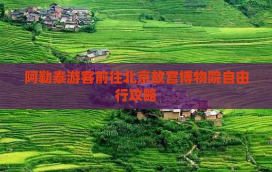 阿勒泰游客前往北京故宫博物院自由行攻略