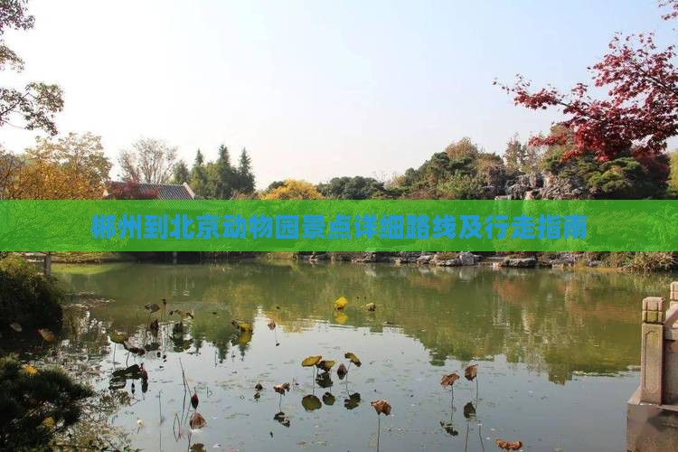 郴州到北京动物园景点详细路线及行走指南