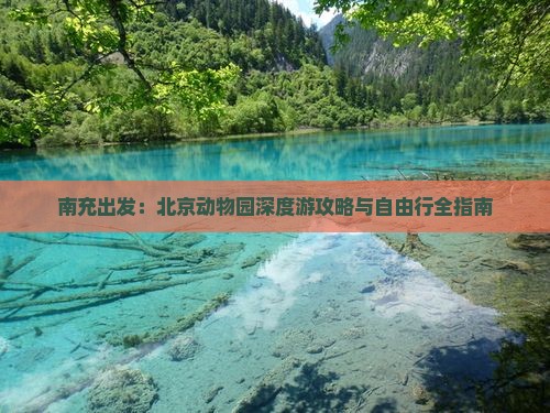 南充出发：北京动物园深度游攻略与自由行全指南