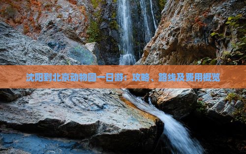 沈阳到北京动物园一日游：攻略、路线及费用概览