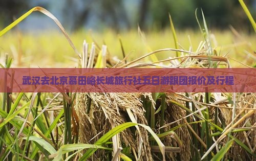 武汉去北京慕田峪长城旅行社五日游跟团报价及行程