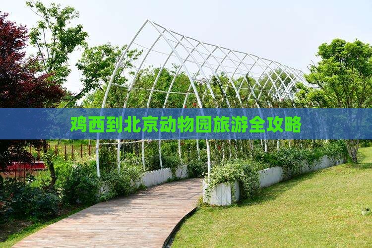 鸡西到北京动物园旅游全攻略