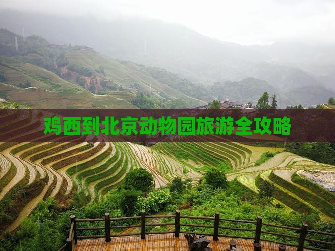 鸡西到北京动物园旅游全攻略