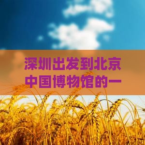 深圳出发到北京中国博物馆的一日游攻略