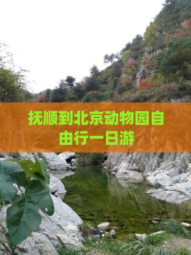 抚顺到北京动物园自由行一日游