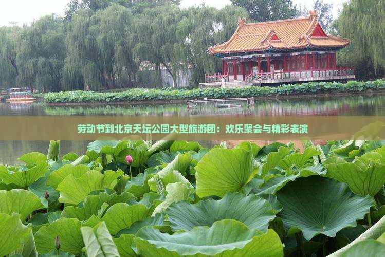 劳动节到北京天坛公园大型旅游团：欢乐聚会与精彩表演