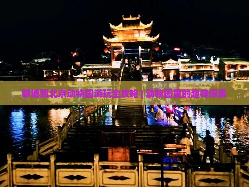聊城到北京动物园游玩全攻略 | 动物园里的趣味探索