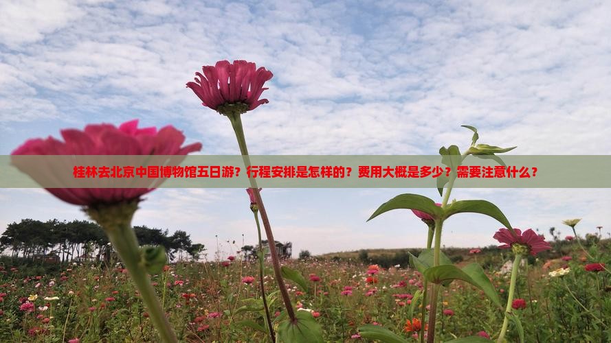 桂林去北京中国博物馆五日游？行程安排是怎样的？费用大概是多少？需要注意什么？