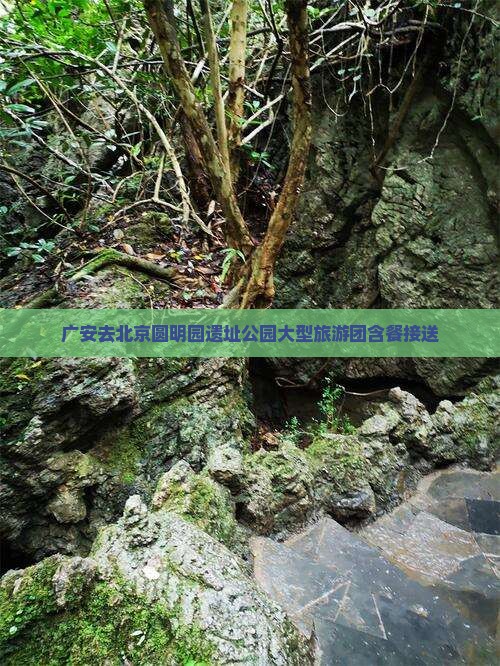 广安去北京圆明园遗址公园大型旅游团含餐接送