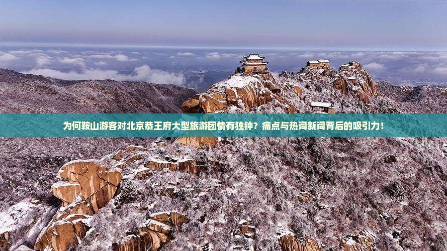 为何鞍山游客对北京恭王府大型旅游团情有独钟？痛点与热词新词背后的吸引力！