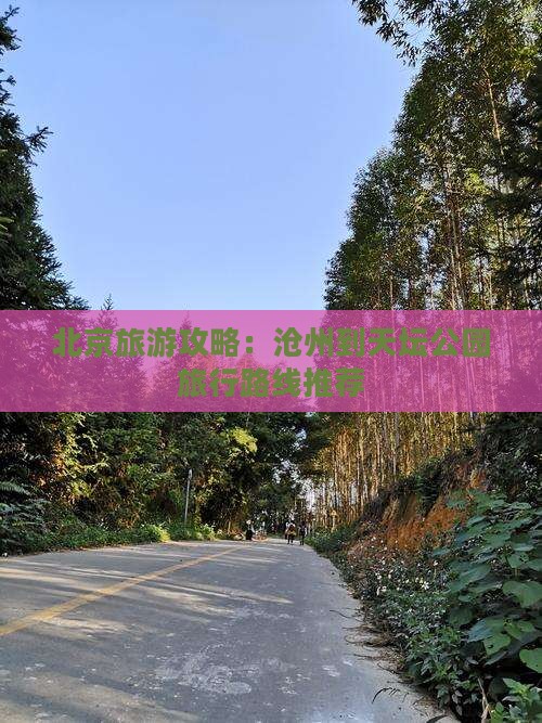 北京旅游攻略：沧州到天坛公园旅行路线推荐