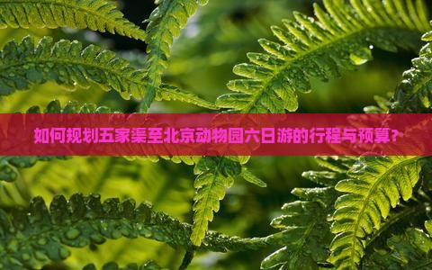 如何规划五家渠至北京动物园六日游的行程与预算？