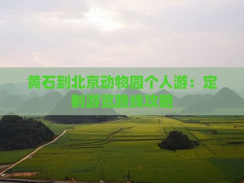 黄石到北京动物园个人游：定制游览路线攻略