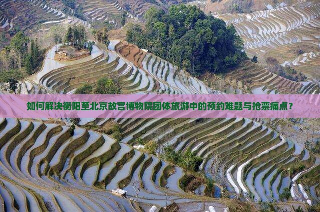 如何解决衡阳至北京故宫博物院团体旅游中的预约难题与抢票痛点？