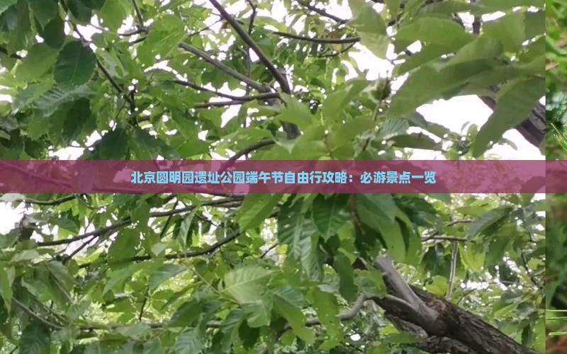 北京圆明园遗址公园端午节自由行攻略：必游景点一览