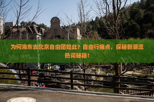 为何海东去北京自由团如此？自由行痛点，探秘新潮流热词秘籍！