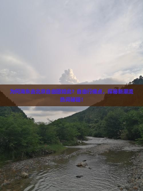 为何海东去北京自由团如此？自由行痛点，探秘新潮流热词秘籍！