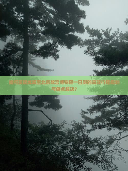 如何实现武威至北京故宫博物院一日游的高效行程规划与痛点解决？