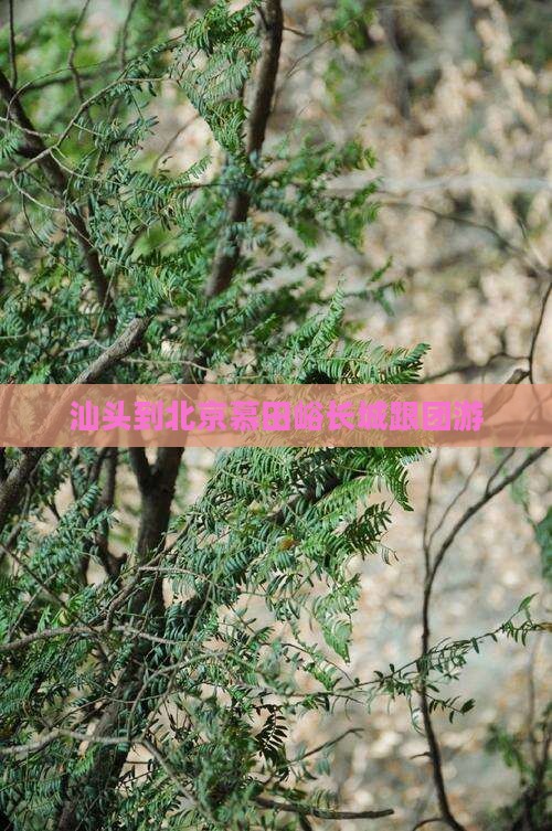 汕头到北京慕田峪长城跟团游