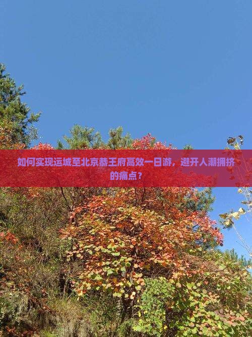 如何实现运城至北京恭王府高效一日游，避开人潮拥挤的痛点？