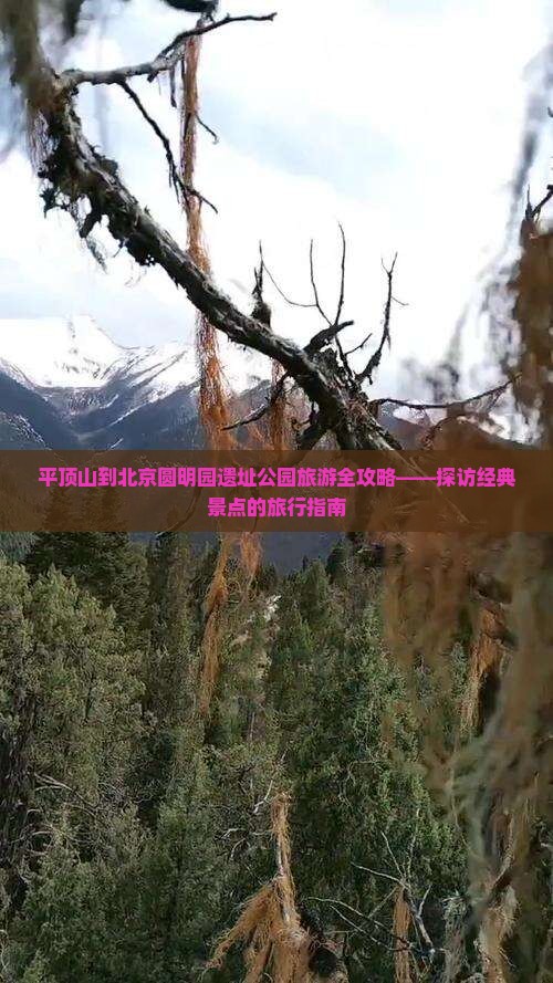 平顶山到北京圆明园遗址公园旅游全攻略——探访经典景点的旅行指南