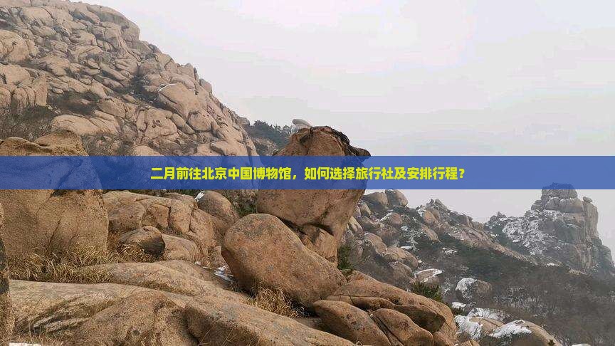 二月前往北京中国博物馆，如何选择旅行社及安排行程？