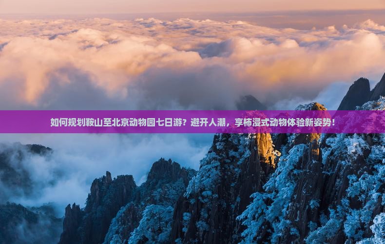 如何规划鞍山至北京动物园七日游？避开人潮，享柿浸式动物体验新姿势！