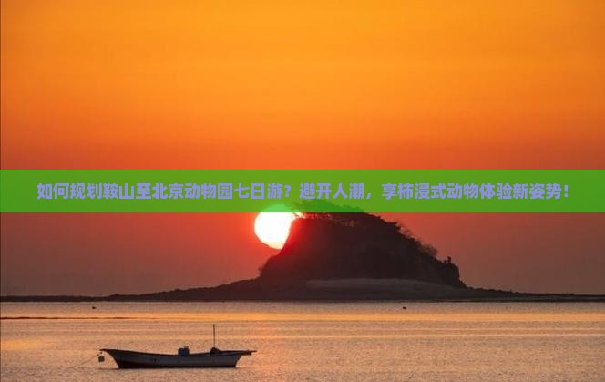 如何规划鞍山至北京动物园七日游？避开人潮，享柿浸式动物体验新姿势！