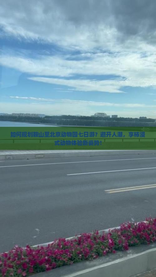 如何规划鞍山至北京动物园七日游？避开人潮，享柿浸式动物体验新姿势！