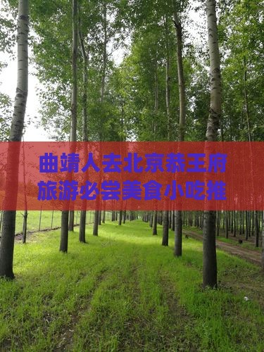 曲靖人去北京恭王府旅游必尝美食小吃推荐